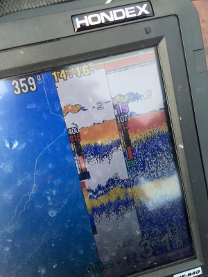 hideup 永野総一朗 ブログ写真 2016/02/26