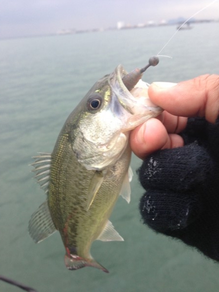 hideup 永野総一朗 ブログ写真 2013/11/27