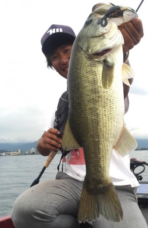 hideup 豌ｸ驥守ｷ丈ｸ譛� 繝悶Ο繧ｰ蜀咏悄 2016/02/01