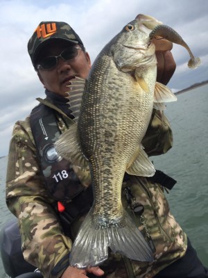 hideup 永野総一朗 ブログ写真 2017/03/26