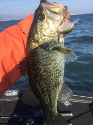 hideup 永野総一朗 ブログ写真 2016/12/19