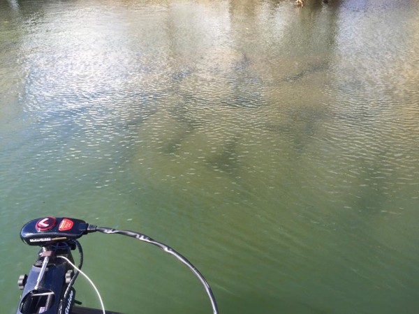 hideup 永野総一朗 ブログ写真 2016/02/17