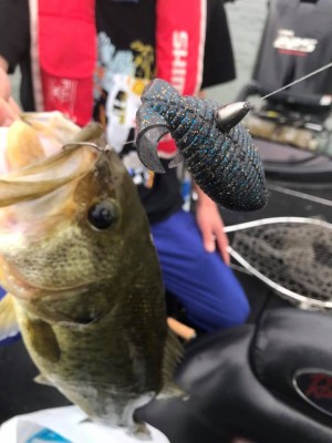 hideup 永野総一朗 ブログ写真 2017/07/06