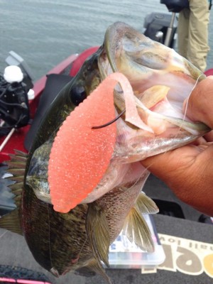 hideup 永野総一朗 ブログ写真 2015/05/14