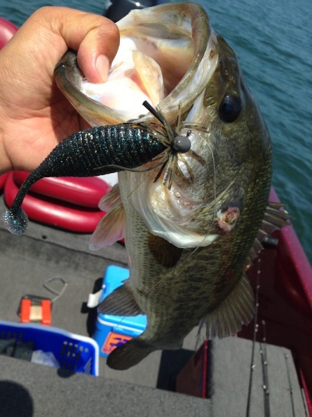 hideup 永野総一朗 ブログ写真 2014/07/03