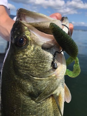 hideup 永野総一朗 ブログ写真 2017/09/02