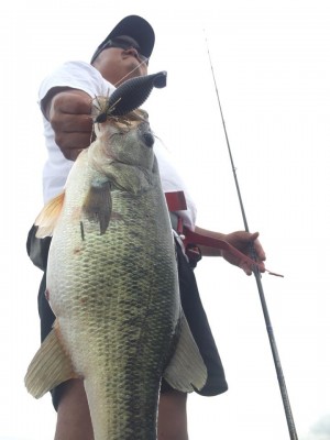 hideup 永野総一朗 ブログ写真 2015/08/20