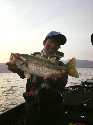 hideup 豌ｸ驥守ｷ丈ｸ譛� 繝悶Ο繧ｰ蜀咏悄 2016/04/10