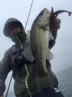 hideup 永野総一朗 ブログ写真 2015/11/18