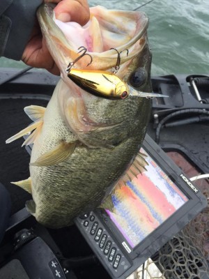 hideup 永野総一朗 ブログ写真 2016/11/11