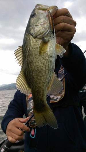 hideup 永野総一朗 ブログ写真 2016/11/01