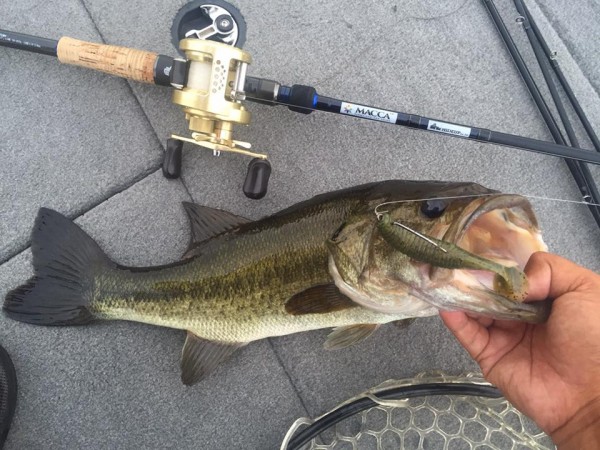 hideup 永野総一朗 ブログ写真 2015/12/18