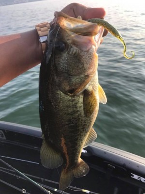 hideup 永野総一朗 ブログ写真 2017/07/19