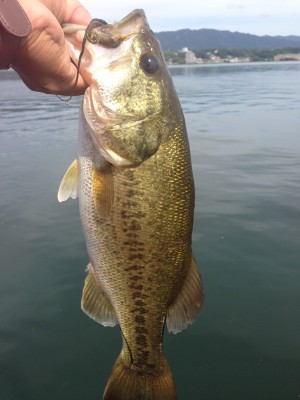 hideup 永野総一朗 ブログ写真 2013/07/20