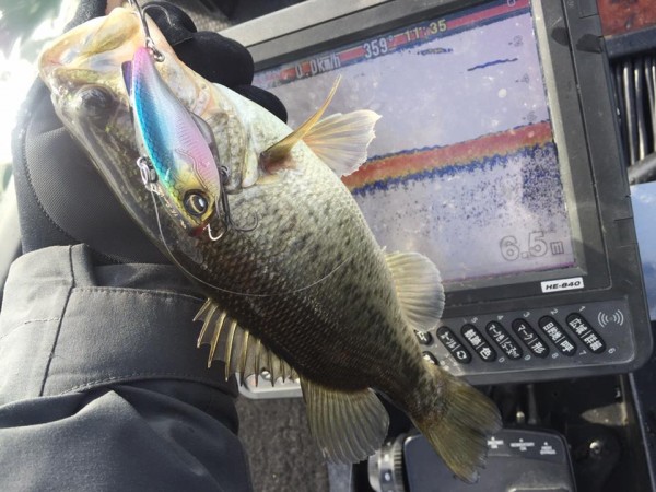 hideup 永野総一朗 ブログ写真 2016/12/02