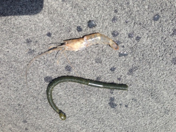 hideup 永野総一朗 ブログ写真 2013/07/26