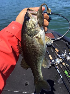 hideup 永野総一朗 ブログ写真 2016/05/12