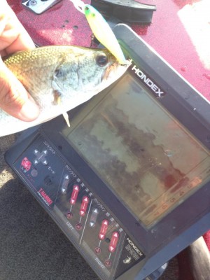 hideup 永野総一朗 ブログ写真 2014/11/19