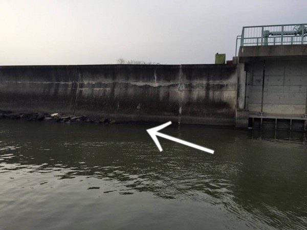 hideup 永野総一朗 ブログ写真 2016/03/08