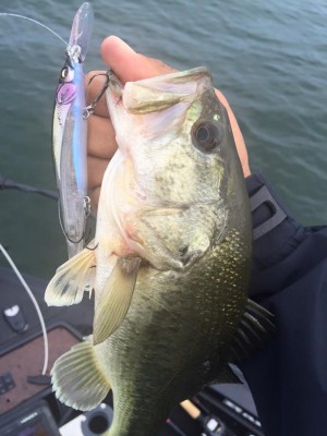 hideup 永野総一朗 ブログ写真 2016/06/04