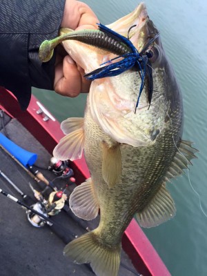 hideup 永野総一朗 ブログ写真 2015/12/13