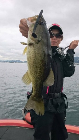 hideup 豌ｸ驥守ｷ丈ｸ譛� 繝悶Ο繧ｰ蜀咏悄 2015/09/12