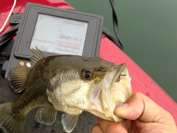 hideup 永野総一朗 ブログ写真 2013/04/18