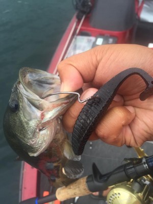 hideup 永野総一朗 ブログ写真 2015/09/07