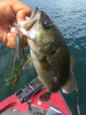 hideup 永野総一朗 ブログ写真 2015/08/06