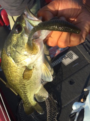 hideup 永野総一朗 ブログ写真 2015/08/09