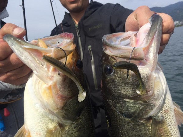 hideup 豌ｸ驥守ｷ丈ｸ譛� 繝悶Ο繧ｰ蜀咏悄 2017/05/04