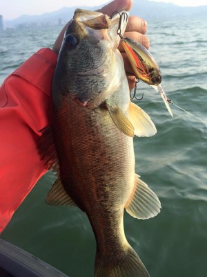 hideup 永野総一朗 ブログ写真 2016/05/21