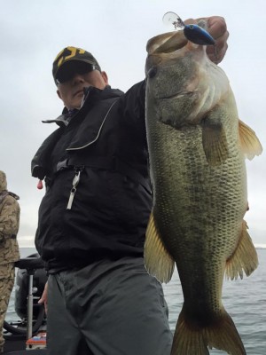 hideup 豌ｸ驥守ｷ丈ｸ譛� 繝悶Ο繧ｰ蜀咏悄 2016/04/07