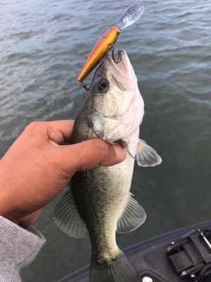 hideup 永野総一朗 ブログ写真 2017/10/17