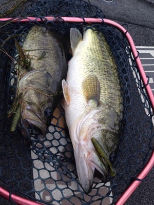 hideup 永野総一朗 ブログ写真 2015/05/05