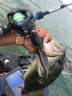 hideup 永野総一朗 ブログ写真 2017/07/19