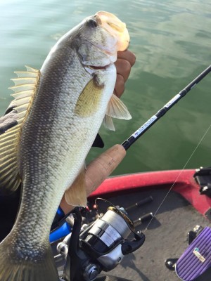 hideup 永野総一朗 ブログ写真 2015/12/13