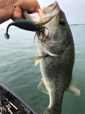 hideup 永野総一朗 ブログ写真 2017/07/12