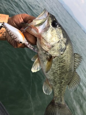 hideup 永野総一朗 ブログ写真 2017/06/01