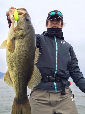 hideup 豌ｸ驥守ｷ丈ｸ譛� 繝悶Ο繧ｰ蜀咏悄 2016/03/10