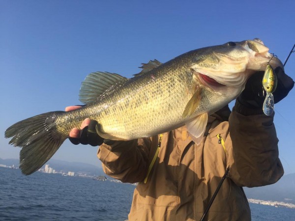 hideup 永野総一朗 ブログ写真 2016/11/05