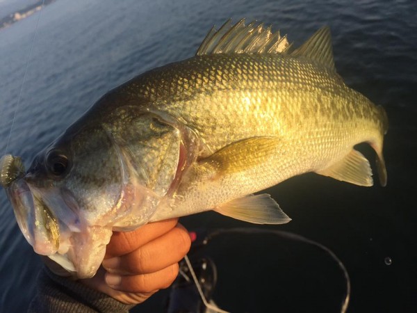 hideup 永野総一朗 ブログ写真 2015/10/05
