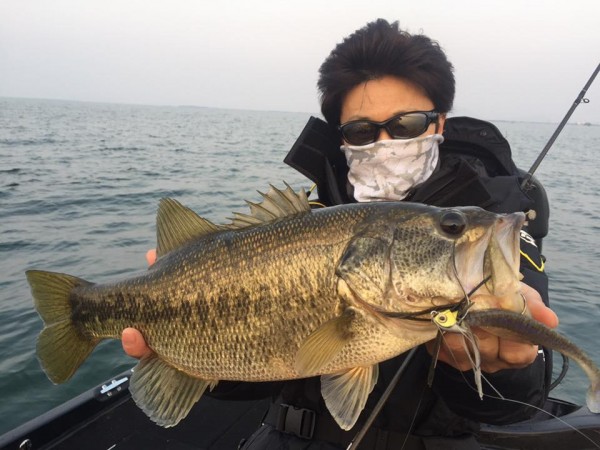 hideup 永野総一朗 ブログ写真 2017/03/19