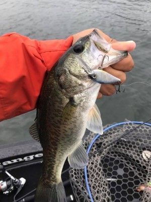 hideup 永野総一朗 ブログ写真 2017/10/17