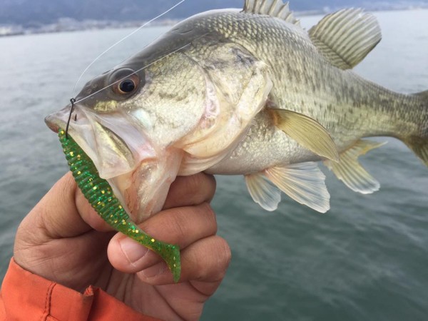 hideup 永野総一朗 ブログ写真 2017/03/19