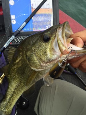 hideup 永野総一朗 ブログ写真 2015/09/16