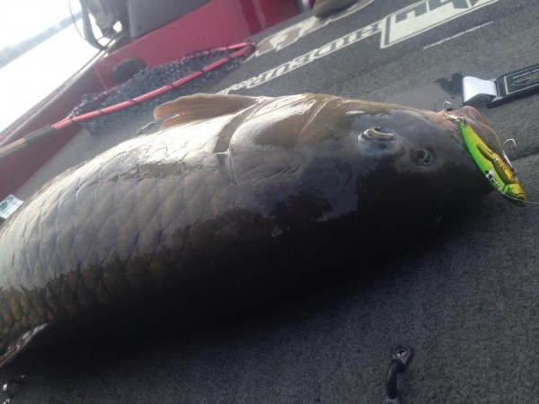 hideup 永野総一朗 ブログ写真 2014/12/24