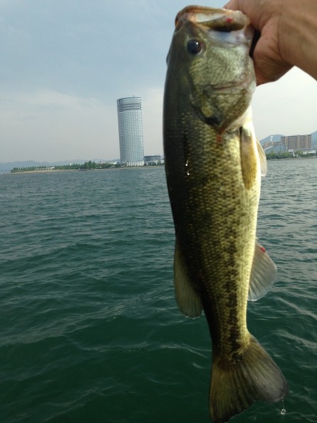 hideup 永野総一朗 ブログ写真 2014/07/03