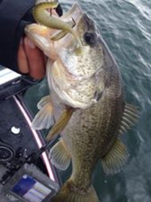 hideup 永野総一朗 ブログ写真 2015/04/17