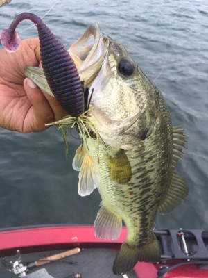 hideup 永野総一朗 ブログ写真 2015/07/11